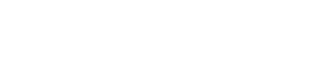 Simorchip